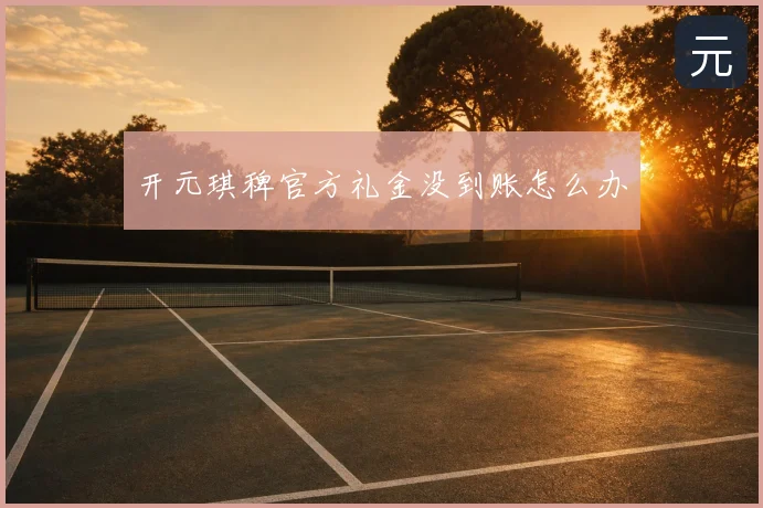 开元琪稗官方礼金没到账怎么办